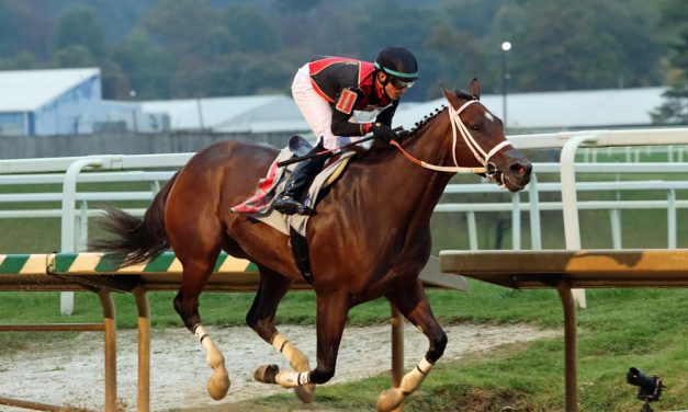 Intrepid Daydream named Maryland-bred Horse of the Year