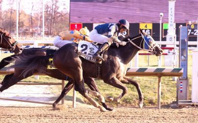 Copper Tax taking big swing in G2 Remsen