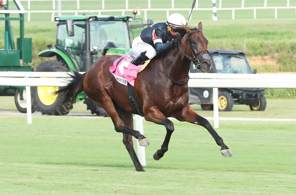 Colonial Downs runners headed to Breeders’ Cup