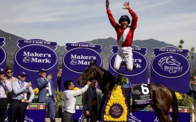 Breeders’ Cup: Behind every horse a human story