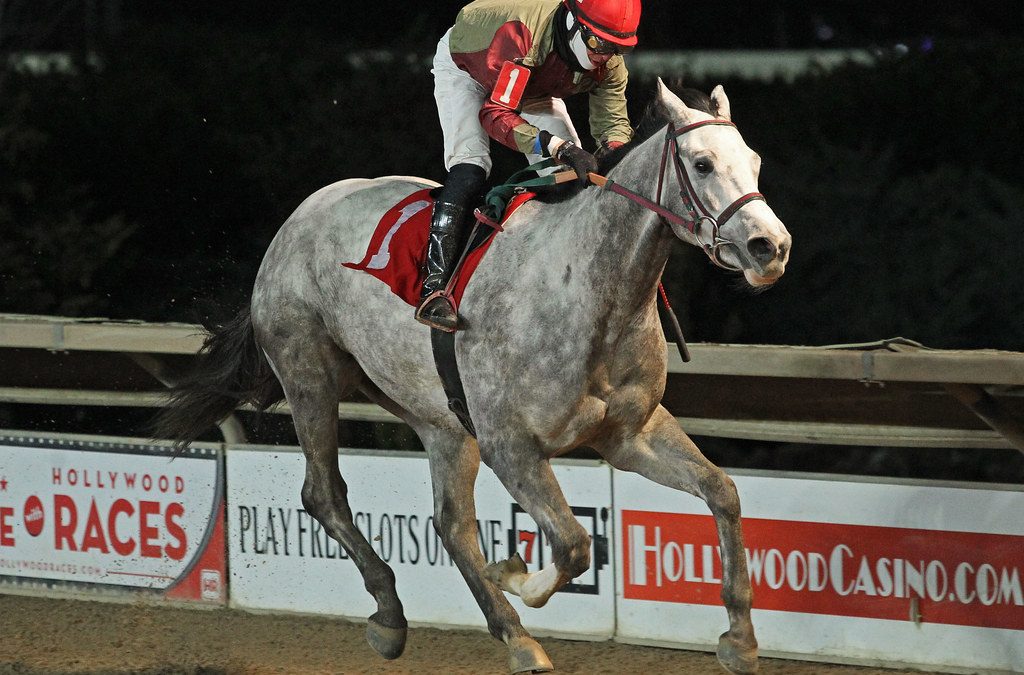 Jubawithatwist makes his point in WV Futurity