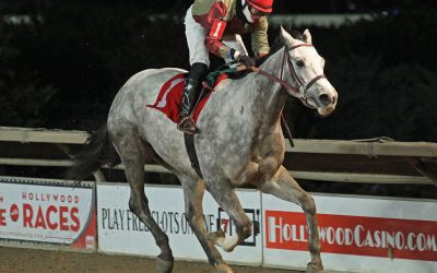 Jubawithatwist makes his point in WV Futurity