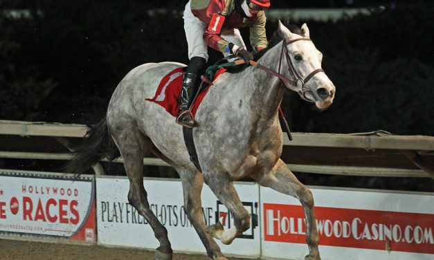 Jubawithatwist makes his point in WV Futurity