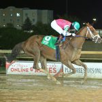 Miss Harriett looks to double up in Smart Halo