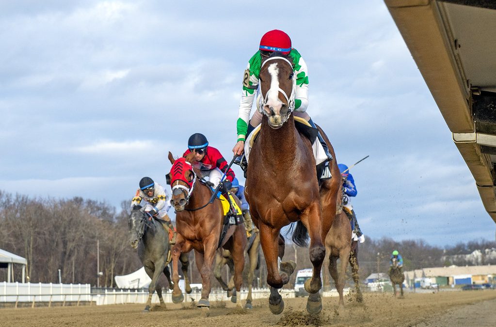 Butch Reid: “Definitely special” to take Preakness swing