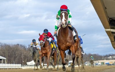 Laurel Park cancels Jan. 21 card