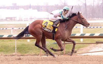 Circle P looks to round back into form in Miracle Wood