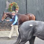 Fasig-Tipton