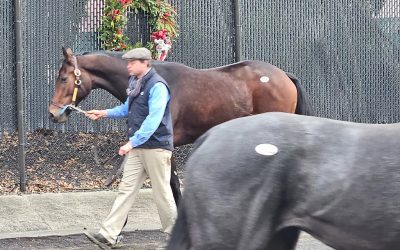 Fasig-Tipton mixed sale dips; Ghostzapper colt is topper