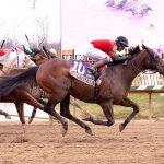 Graded winner Wondrwherecraigis retired