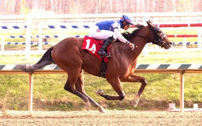 Speedyness favored in Maryland Juvenile