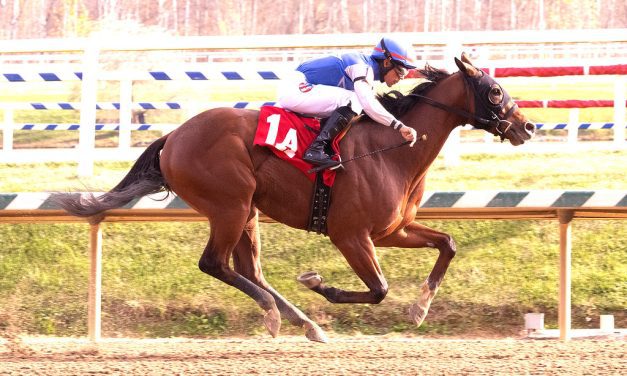Speedyness favored in Maryland Juvenile