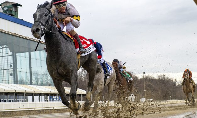 VIDEO: Laurel Park stakes highlights