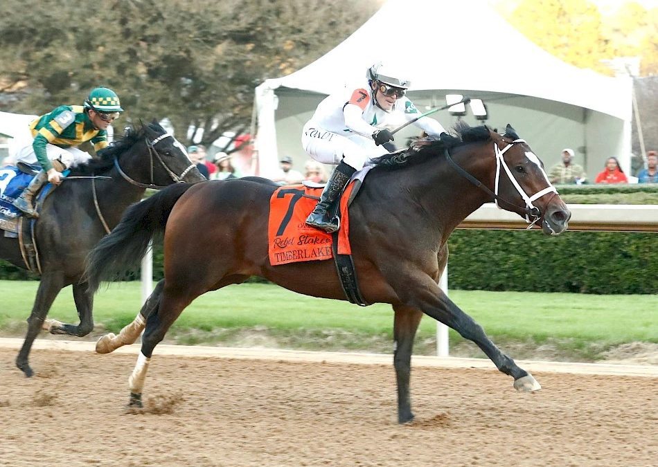 Triple Crown: Timberlake takes Rebel, points lead
