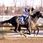 Virginia certified stakes attract big fields