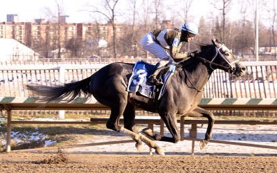 Experts’ Belmont Stakes undercard stakes picks