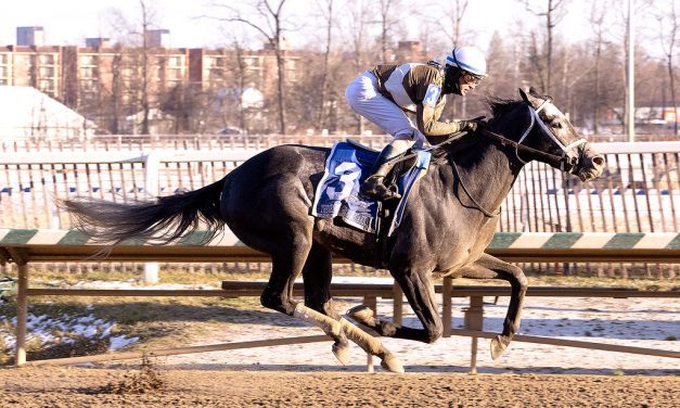 Maryland-bred champions announced