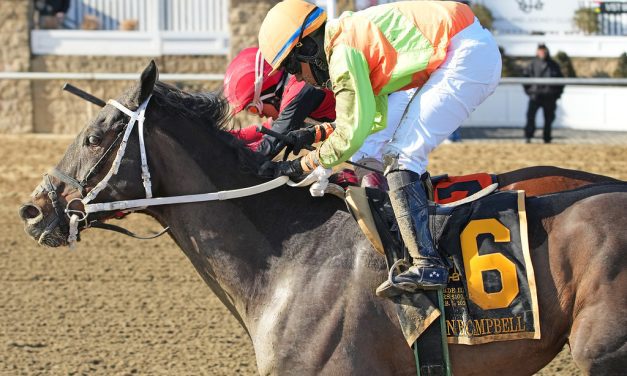 Laurel Park stakes storylines to follow