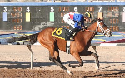 Triple Crown: Sunland Derby picks and analysis