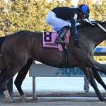 NJ-bred Sea Streak scores in Long Branch