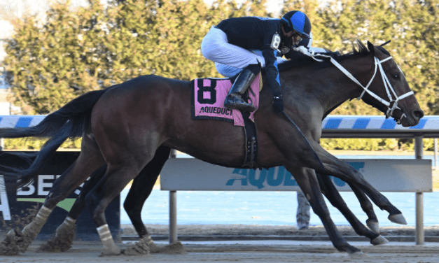 PA-bred Uncle Heavy rallies to Withers upset