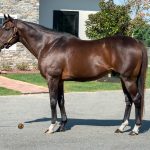 Colonial Downs releases promotional schedule