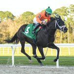 Triple Crown: Tampa Bay Derby picks and analysis