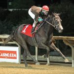 Grayson-Jockey Club Foundation announces funding