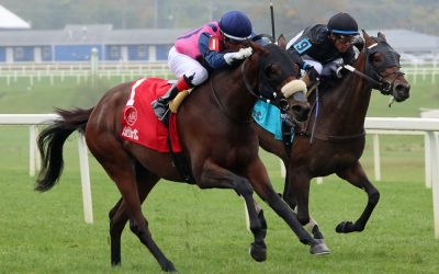 Book’em Danno, Precious Avary top NJ-bred awards