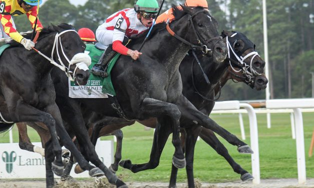 Triple Crown: Domestic Product wins betless Tampa Bay Derby