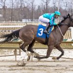 G1 Haskell highlights Monmouth 2025 stakes slate