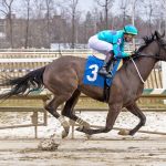 “Kind of crazy”: Full siblings triple up at Laurel Park