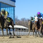 Take a Hint bags first stakes win in Not for Love