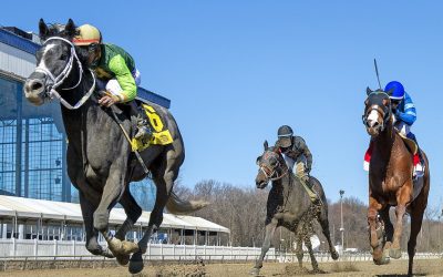 Take a Hint bags first stakes win in Not for Love
