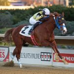 Pimlico picks and ponderings: May 11, 2024