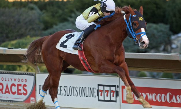 CT: Rugged group to contest Coin Collector Stakes
