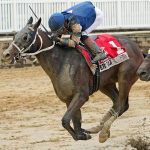 Despite EHV, Laurel Park expecting stakes to hold together