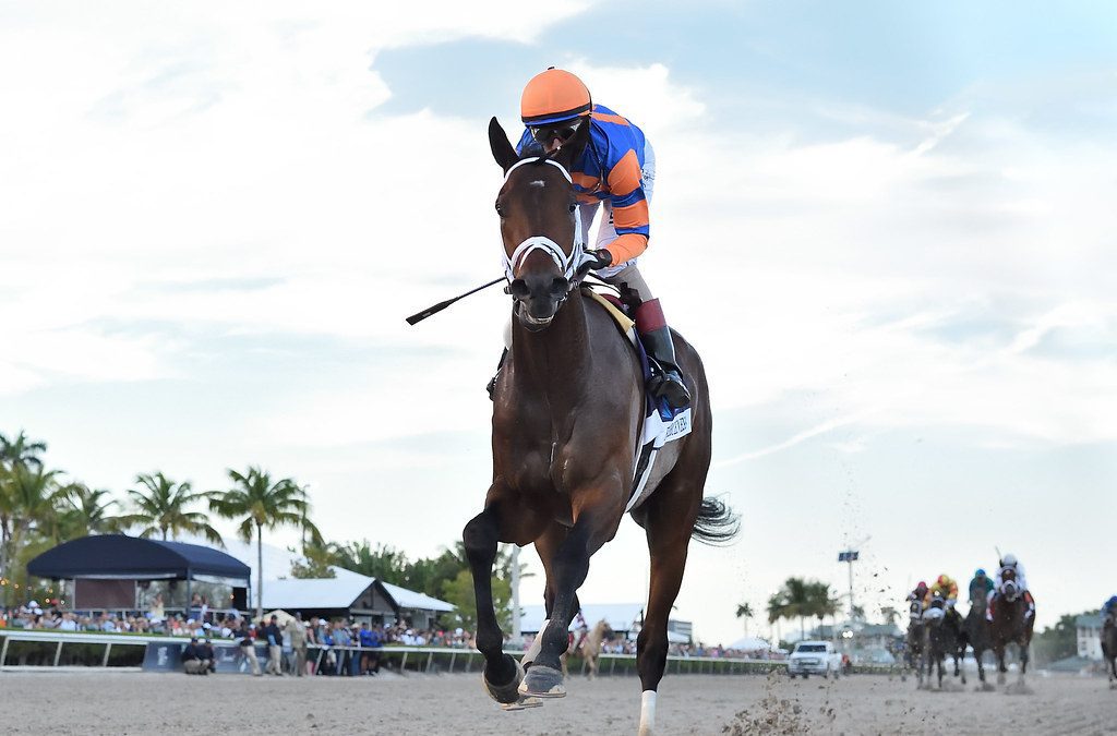 Fierceness installed as Kentucky Derby favorite