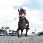 Fierceness installed as Kentucky Derby favorite