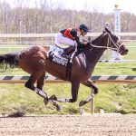 Intrepid Dream powers to fifth straight in Heavenly Cause