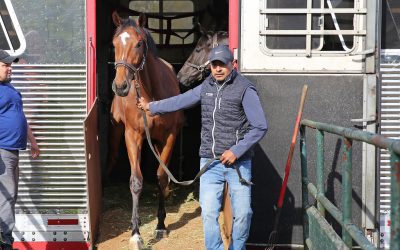 First horses arrive at Monmouth Park for 2024 season