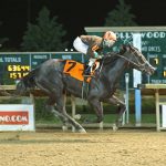 Fierceness installed as Kentucky Derby favorite