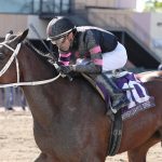 Parx: Morning Matcha, Far Mo Power rally to stakes wins