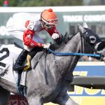 Bev Strauss named Preakness honorary postmaster