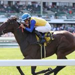 Pimlico picks and ponderings: May 27, 2024