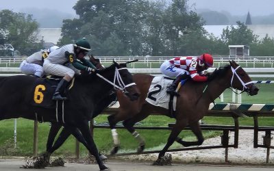 Biscuitwiththeboss gobbles up first 2yo race in Maryland