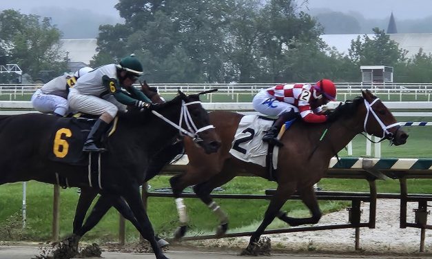 Biscuitwiththeboss gobbles up first 2yo race in Maryland