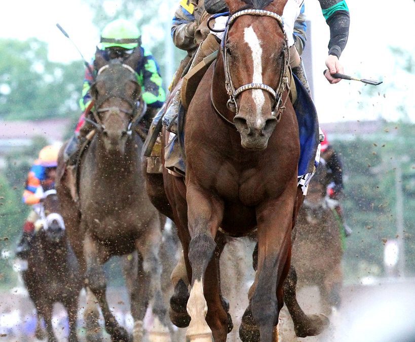 VIDEO: Mystik Dan arrives at Pimlico for Preakness 149