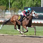 NJ-bred Sea Streak scores in Long Branch