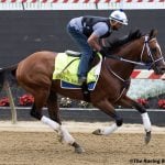 VIDEO: Trainer Ken McPeek discusses Mystik Dan